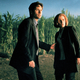 Illustration for article titled iThe X-Files/i Will Return This January